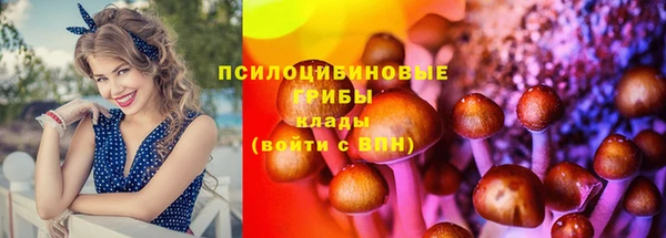 мескалин Баксан
