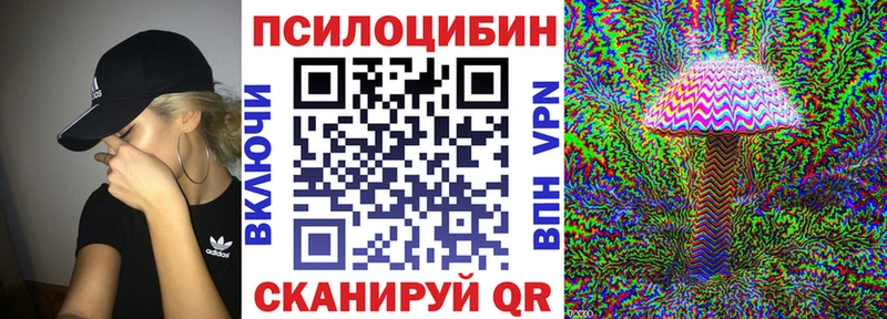 гидра как войти  Котельниково  Галлюциногенные грибы Psilocybine cubensis 